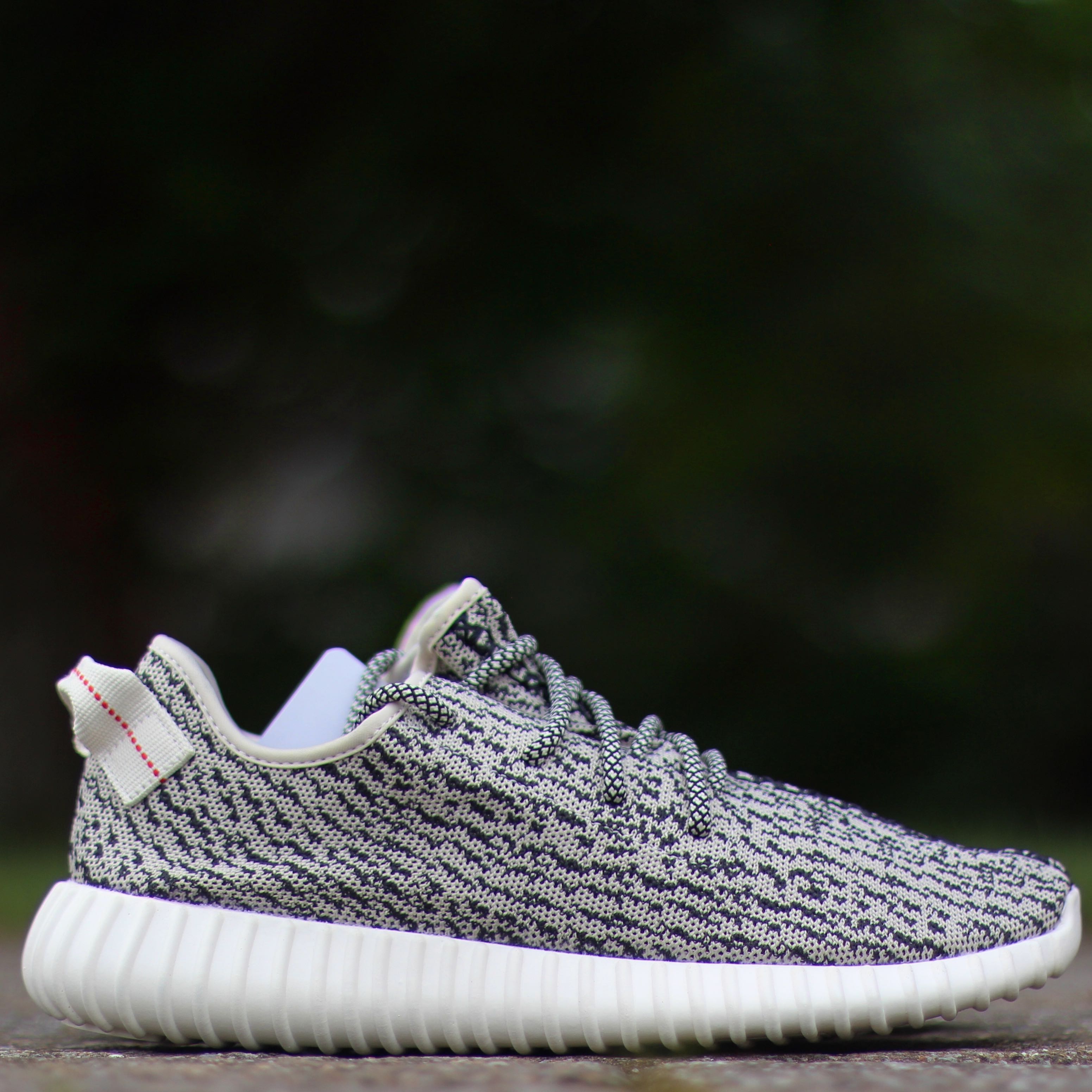 The Ultimate Version Yeezy 350 Boost Turtle Dove and Nike Air Max